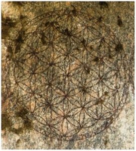 Gravure ancienne de la Fleur de Vie dans le temple d’Osiris à Abydos, Égypte